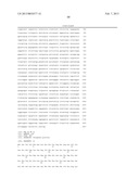 Methods and Compositions for Vaccination Comprising Nucleic Acid and/or     Polypeptide Sequences of Chlamydia diagram and image