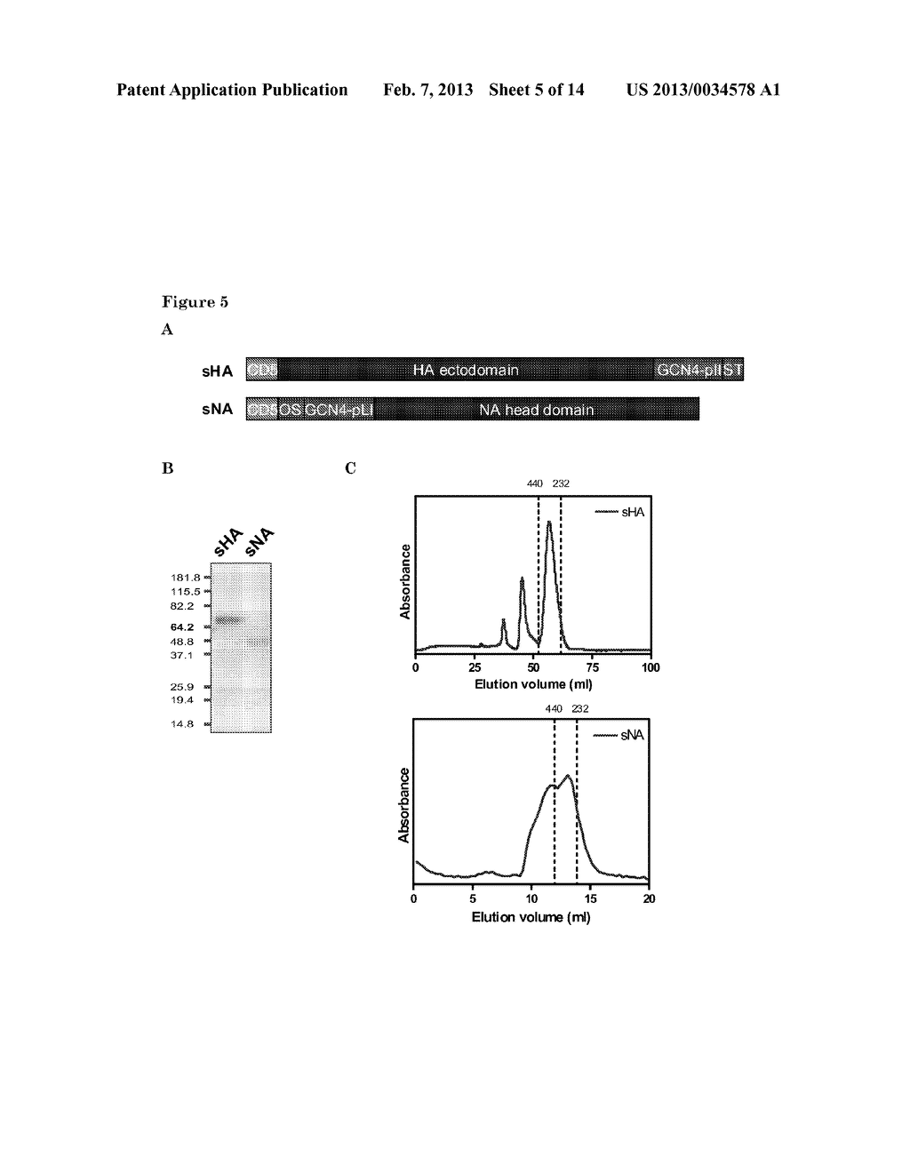 RECOMBINANT MULTIMERIC INFLUENZA PROTEINS - diagram, schematic, and image 06