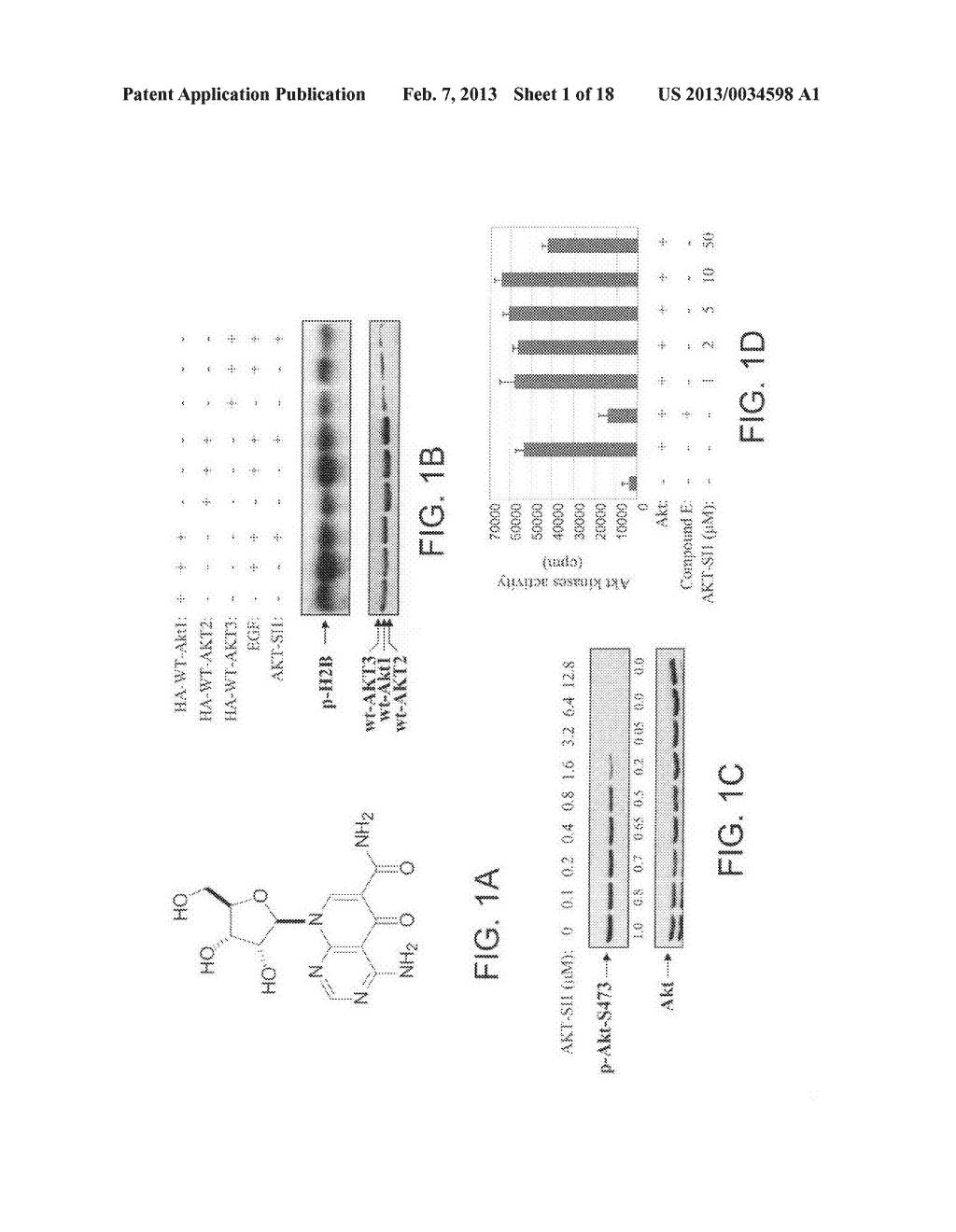 INHIBITORS OF AKT/PKB WITH ANTI-TUMOR ACTIVITY - diagram, schematic, and image 02