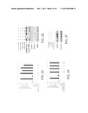 INHIBITORS OF AKT/PKB WITH ANTI-TUMOR ACTIVITY diagram and image