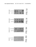 INHIBITORS OF AKT/PKB WITH ANTI-TUMOR ACTIVITY diagram and image