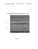 MICROSTRUCTURED DEVICE AND METHOD OF FABRICATION diagram and image