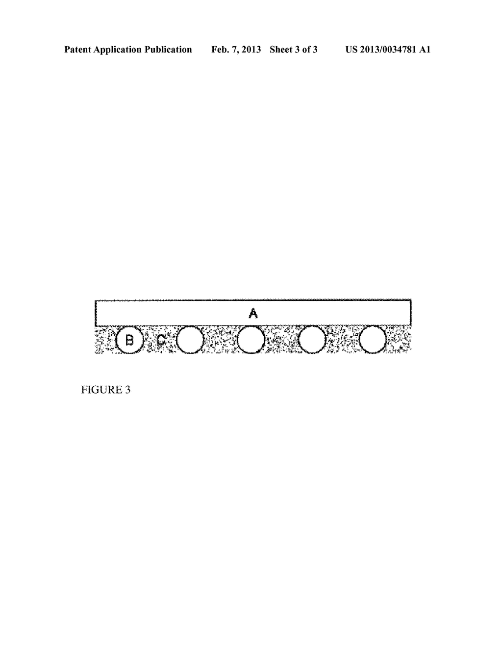 ELECTROLYTE SYSTEM FOR METAL-AIR BATTERIES AND METHODS OF USE THEREOF - diagram, schematic, and image 04