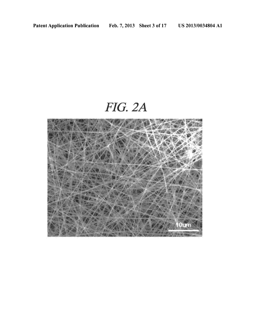 HYBRID POROUS CARBON FIBER AND METHOD FOR FABRICATING THE SAME - diagram, schematic, and image 04