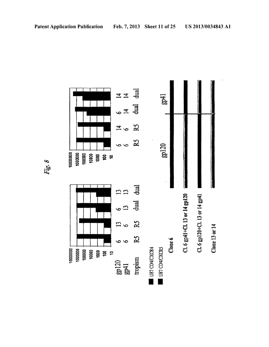 Molecular Determinants Associated with Enhanced Ability to Enter Cells     Expressing CXCR4 - diagram, schematic, and image 12