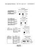 DIAGNOSIS OF HEREDITARY SPASTIC PARAPLEGIAS (HSP) BY DETECTION OF A     MUTATION IN THE KIAA1840 GENE OR PROTEIN diagram and image