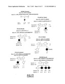 DIAGNOSIS OF HEREDITARY SPASTIC PARAPLEGIAS (HSP) BY DETECTION OF A     MUTATION IN THE KIAA1840 GENE OR PROTEIN diagram and image