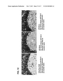 Antibody-Nanoparticle Conjugates and Methods for Making and Using Such     Conjugates diagram and image