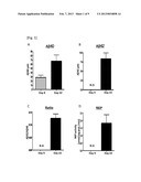 METHOD FOR DIAGNOSING A PROTEIN MISFOLDING DISEASE USING NERVE CELLS     DERIVED FROM IPS CELLS diagram and image