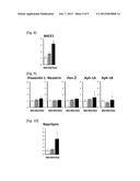 METHOD FOR DIAGNOSING A PROTEIN MISFOLDING DISEASE USING NERVE CELLS     DERIVED FROM IPS CELLS diagram and image