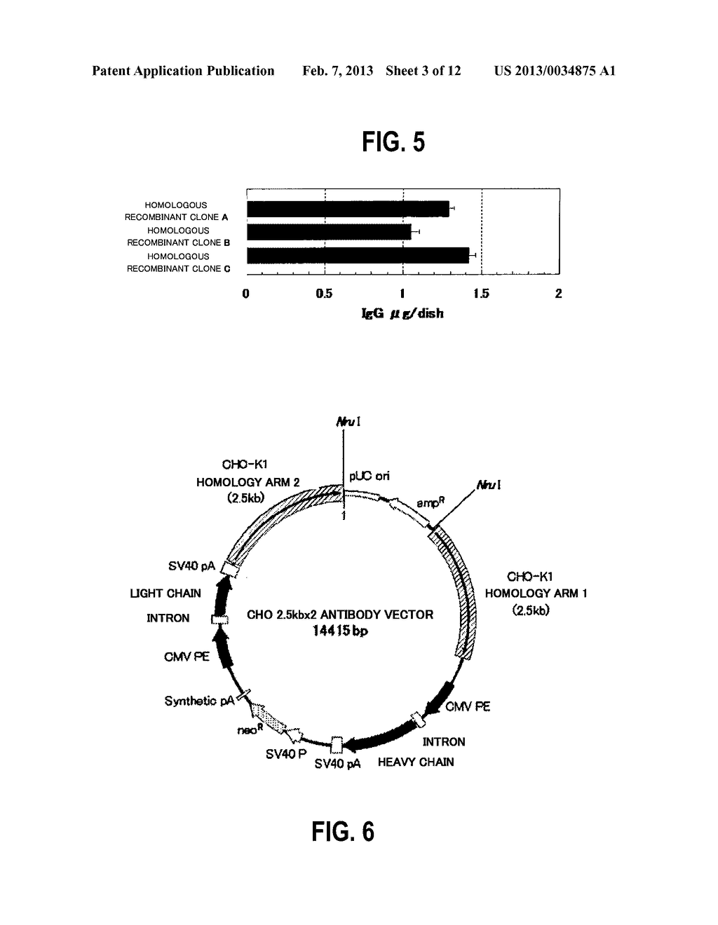 DNA CONSTRUCT, AND PROCESS FOR PRODUCTION OF RECOMBINANT CHO CELL USING     SAME - diagram, schematic, and image 04