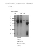 METHOD FOR INCREASING THERMAL STABILITY AND RETAINING ACTIVITY OF A     PROTEIN diagram and image