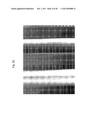 CHAMBER FREE NANOREACTOR SYSTEM diagram and image