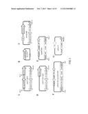 MINICIRCLE DNA VECTOR PREPARATIONS AND METHODS OF MAKING AND USING THE     SAME diagram and image