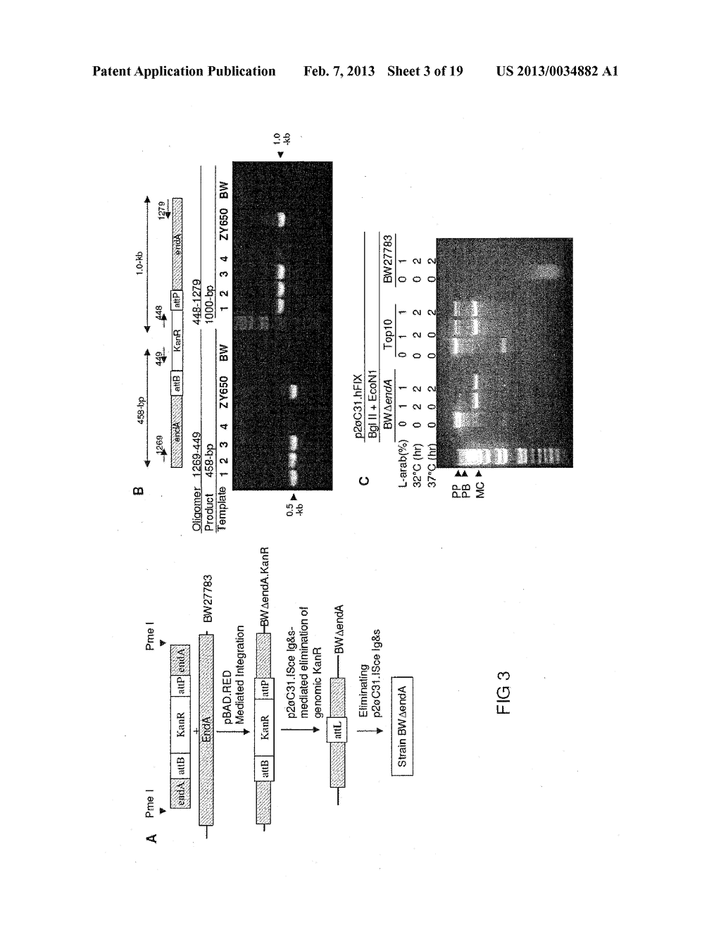 MINICIRCLE DNA VECTOR PREPARATIONS AND METHODS OF MAKING AND USING THE     SAME - diagram, schematic, and image 04