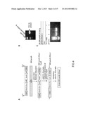 MINICIRCLE DNA VECTOR PREPARATIONS AND METHODS OF MAKING AND USING THE     SAME diagram and image