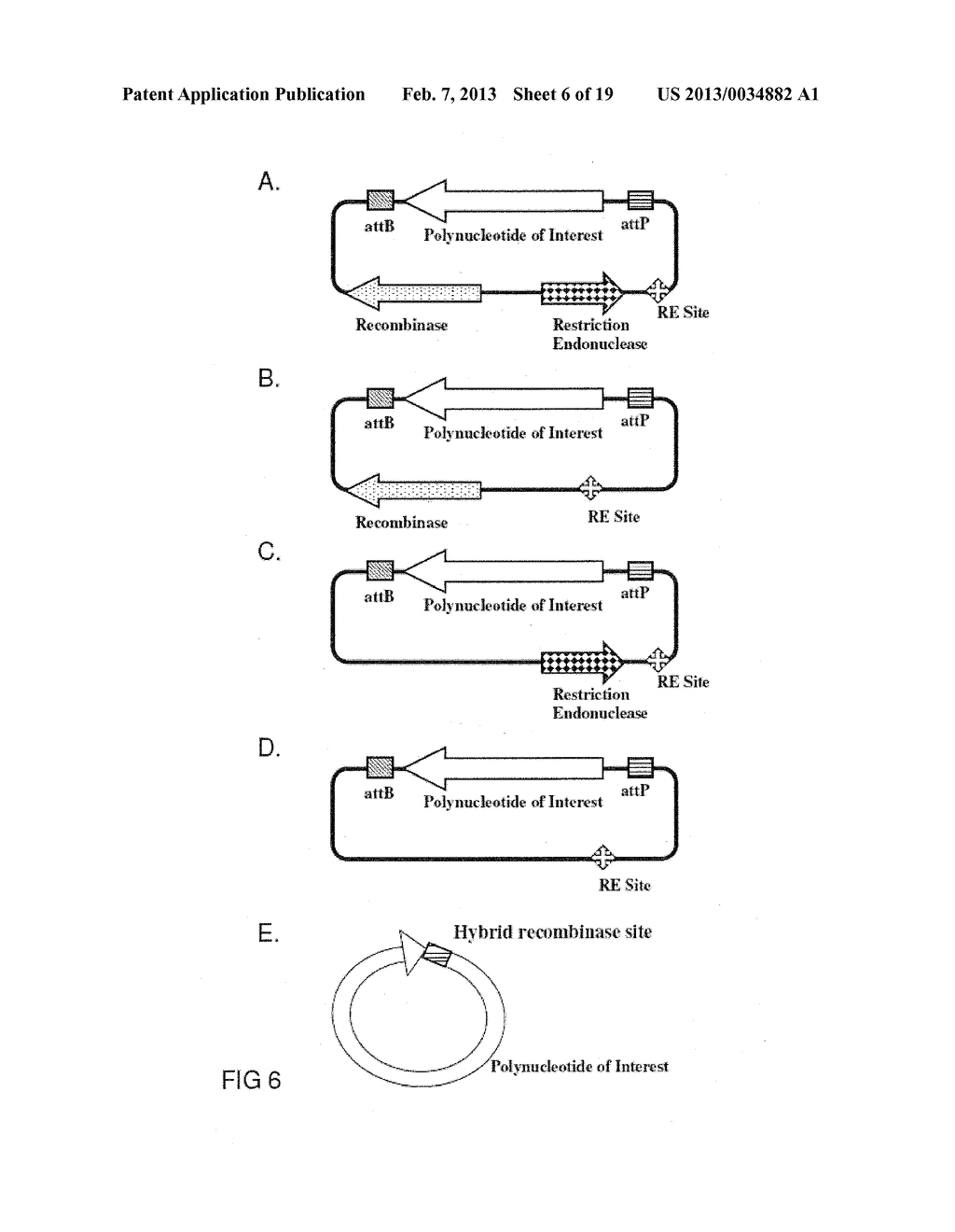 MINICIRCLE DNA VECTOR PREPARATIONS AND METHODS OF MAKING AND USING THE     SAME - diagram, schematic, and image 07