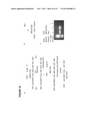 MINICIRCLE DNA VECTOR PREPARATIONS AND METHODS OF MAKING AND USING THE     SAME diagram and image