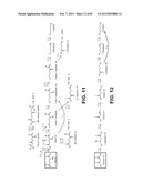 MICROORGANISMS FOR PRODUCING 1,4-BUTANEDIOL AND METHODS RELATED THERETO diagram and image