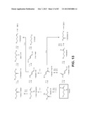 MICROORGANISMS FOR PRODUCING 1,4-BUTANEDIOL AND METHODS RELATED THERETO diagram and image