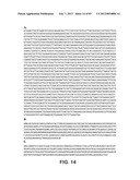 MICROORGANISMS FOR PRODUCING 1,4-BUTANEDIOL AND METHODS RELATED THERETO diagram and image