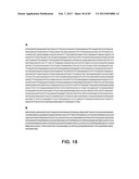 MICROORGANISMS FOR PRODUCING 1,4-BUTANEDIOL AND METHODS RELATED THERETO diagram and image