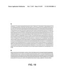 MICROORGANISMS FOR PRODUCING 1,4-BUTANEDIOL AND METHODS RELATED THERETO diagram and image