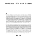 MICROORGANISMS FOR PRODUCING 1,4-BUTANEDIOL AND METHODS RELATED THERETO diagram and image