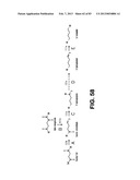 MICROORGANISMS FOR PRODUCING 1,4-BUTANEDIOL AND METHODS RELATED THERETO diagram and image