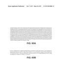 MICROORGANISMS FOR PRODUCING 1,4-BUTANEDIOL AND METHODS RELATED THERETO diagram and image