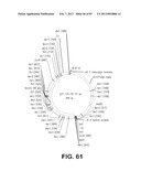 MICROORGANISMS FOR PRODUCING 1,4-BUTANEDIOL AND METHODS RELATED THERETO diagram and image