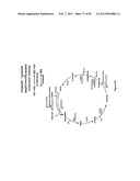 MICROORGANISMS FOR PRODUCING 1,4-BUTANEDIOL AND METHODS RELATED THERETO diagram and image