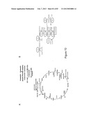 MICROORGANISMS FOR PRODUCING 1,4-BUTANEDIOL AND METHODS RELATED THERETO diagram and image