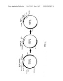 BACTERIAL HOST CELL FOR THE DIRECT EXPRESSION OF PEPTIDES diagram and image