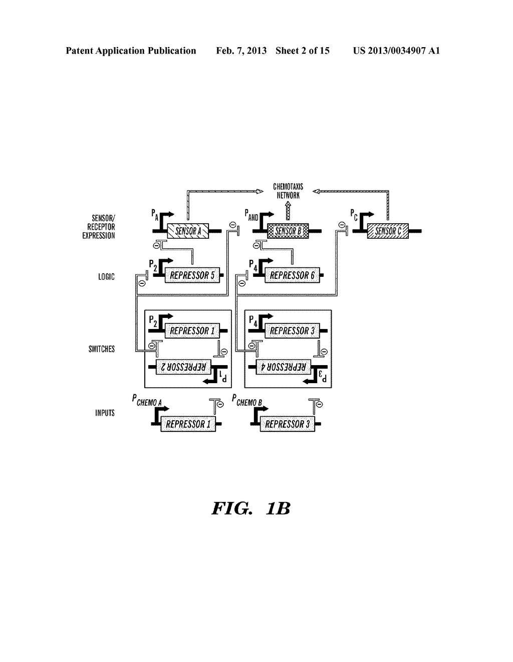 BIOLOGICAL CIRCUIT CHEMOTACTIC CONVERTERS - diagram, schematic, and image 03