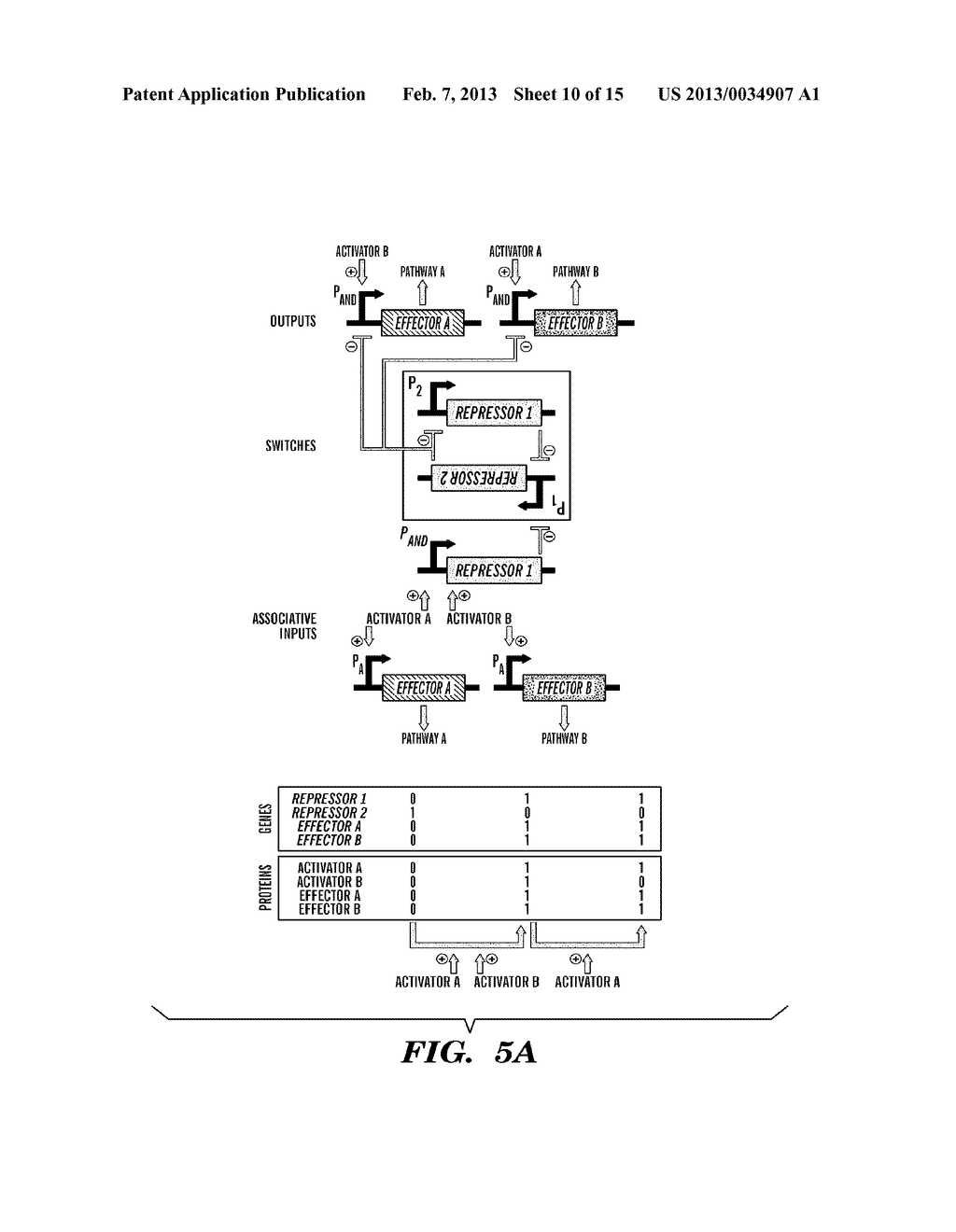 BIOLOGICAL CIRCUIT CHEMOTACTIC CONVERTERS - diagram, schematic, and image 11