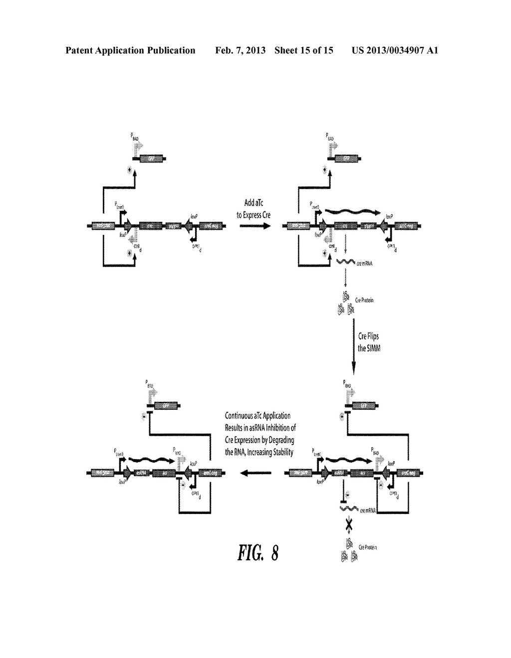 BIOLOGICAL CIRCUIT CHEMOTACTIC CONVERTERS - diagram, schematic, and image 16