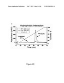 FLUORESCENCE-BASED APPROACH TO MONITOR RELEASE FACTOR-CATALYZED     TERMINATION OF PROTEIN SYNTHESIS diagram and image