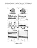 FLUORESCENCE-BASED APPROACH TO MONITOR RELEASE FACTOR-CATALYZED     TERMINATION OF PROTEIN SYNTHESIS diagram and image