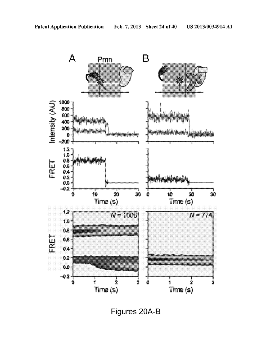 FLUORESCENCE-BASED APPROACH TO MONITOR RELEASE FACTOR-CATALYZED     TERMINATION OF PROTEIN SYNTHESIS - diagram, schematic, and image 25