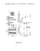 FLUORESCENCE-BASED APPROACH TO MONITOR RELEASE FACTOR-CATALYZED     TERMINATION OF PROTEIN SYNTHESIS diagram and image