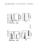 FLUORESCENCE-BASED APPROACH TO MONITOR RELEASE FACTOR-CATALYZED     TERMINATION OF PROTEIN SYNTHESIS diagram and image