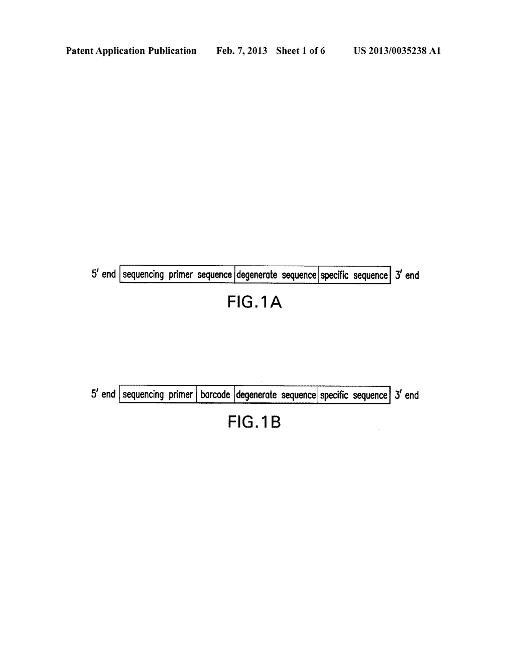 METHOD FOR GENOME COMPLEXITY REDUCTION AND POLYMORPHISM DETECTION - diagram, schematic, and image 02