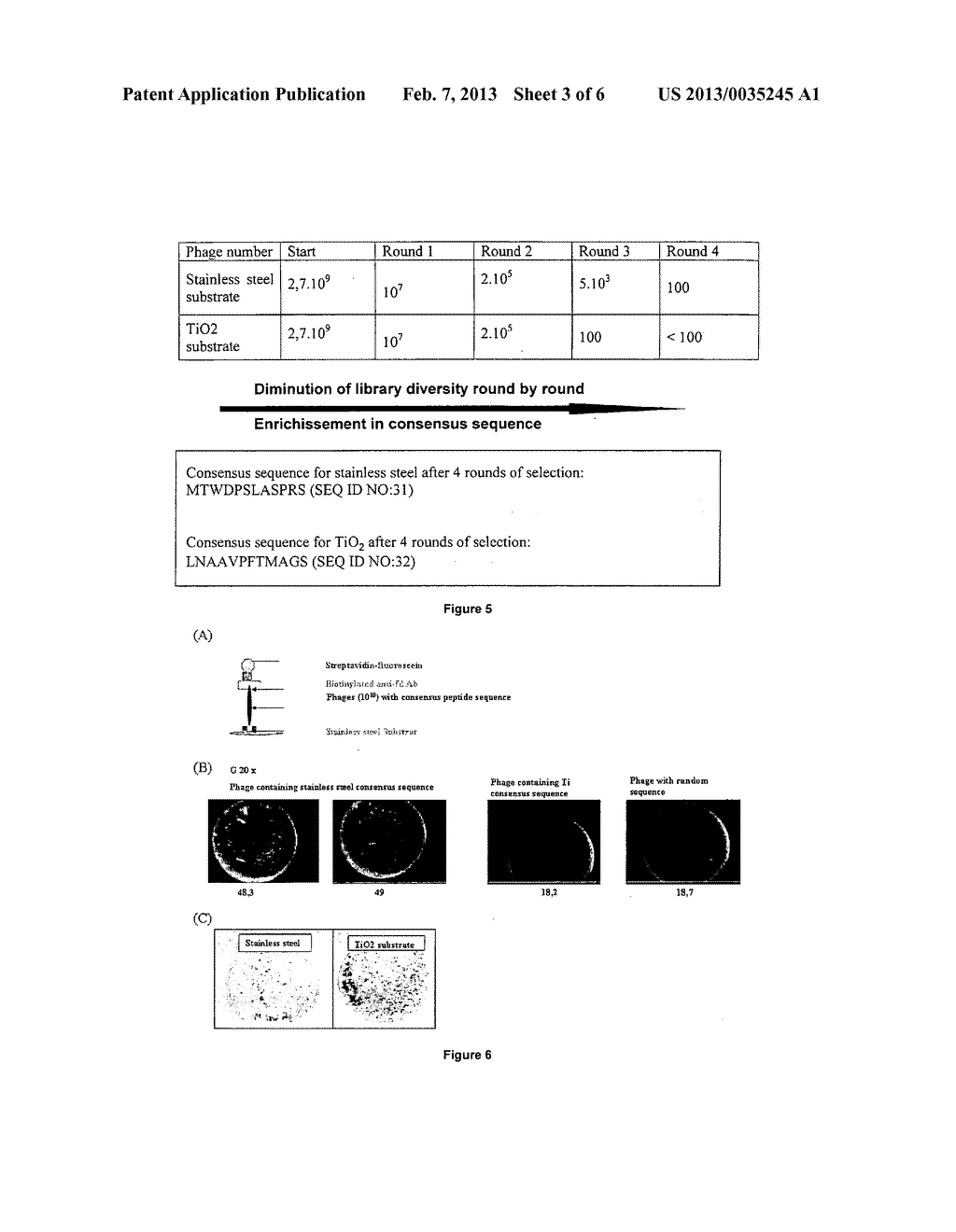 INORGANIC-BINDING PEPTIDES AND QUALITY CONTROL METHODS USING THEM - diagram, schematic, and image 04