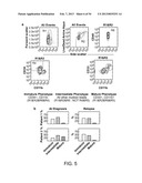 METHODS FOR DIAGNOSIS, PROGNOSIS AND METHODS OF TREATMENT diagram and image