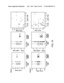 METHODS FOR DIAGNOSIS, PROGNOSIS AND METHODS OF TREATMENT diagram and image