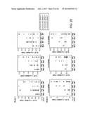 METHODS FOR DIAGNOSIS, PROGNOSIS AND METHODS OF TREATMENT diagram and image