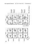 METHODS FOR DIAGNOSIS, PROGNOSIS AND METHODS OF TREATMENT diagram and image