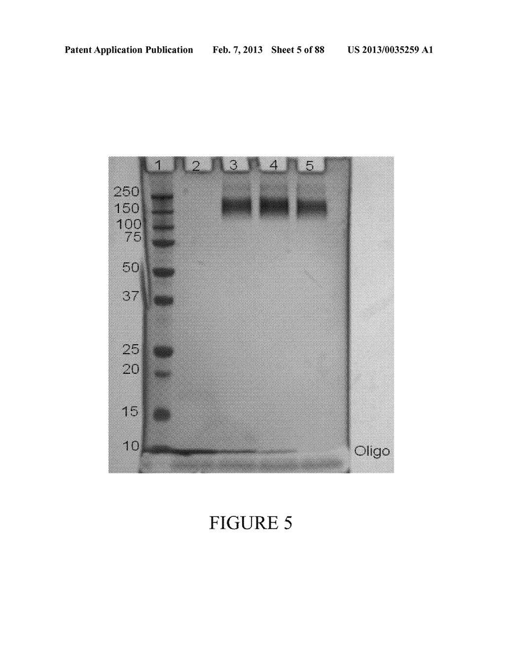 Methods and/or Systems Producing and Providing Sets of Oligonucleotide     Conjugates for Assays and Detections - diagram, schematic, and image 06