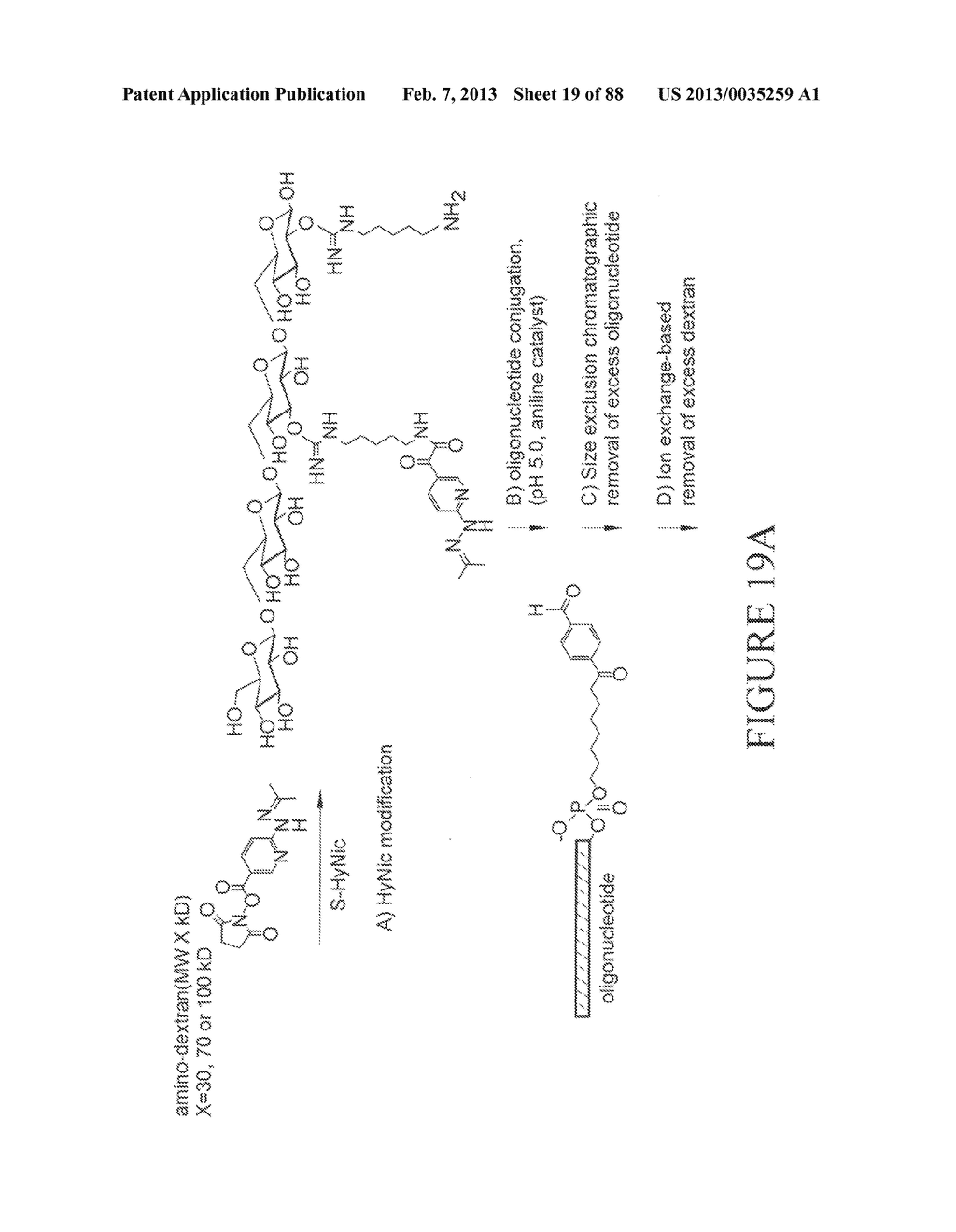 Methods and/or Systems Producing and Providing Sets of Oligonucleotide     Conjugates for Assays and Detections - diagram, schematic, and image 20